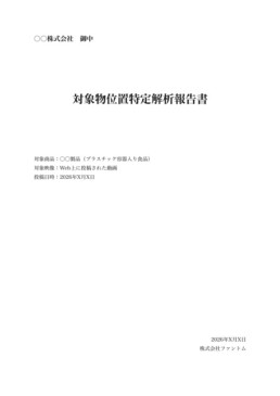 異物位置特定解析報告書サンプル